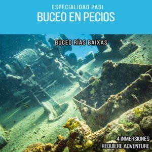 Buceo en Pecios