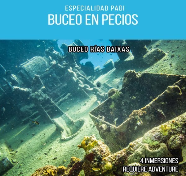 Especialidad de Buceo en Pecios