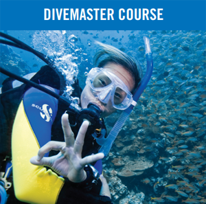 Curso de Divemaster