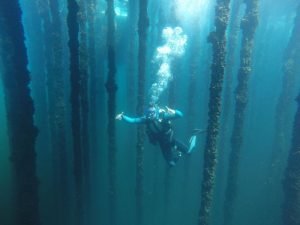 Buceo en bateas