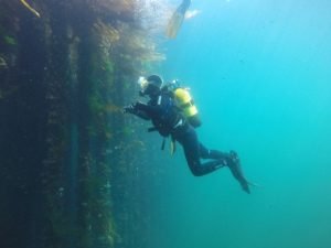 Buceo en batea de mejillones