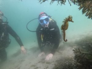 Buceo en rias baixas