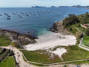 Lee más sobre el artículo ⚓Safari Intermareal en Cangas⚓