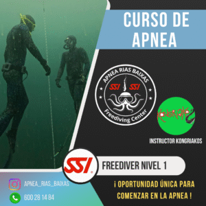 Curso Apnea Nivel 1 SSI